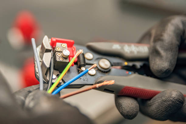 Best Electrical System Inspection  in Ixonia, WI