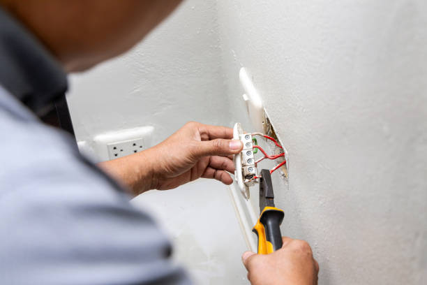 Best Electric Panel Repair  in Ixonia, WI